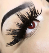 Load image into Gallery viewer, ๐ท๐ ๐๐๐๐๐๐๐